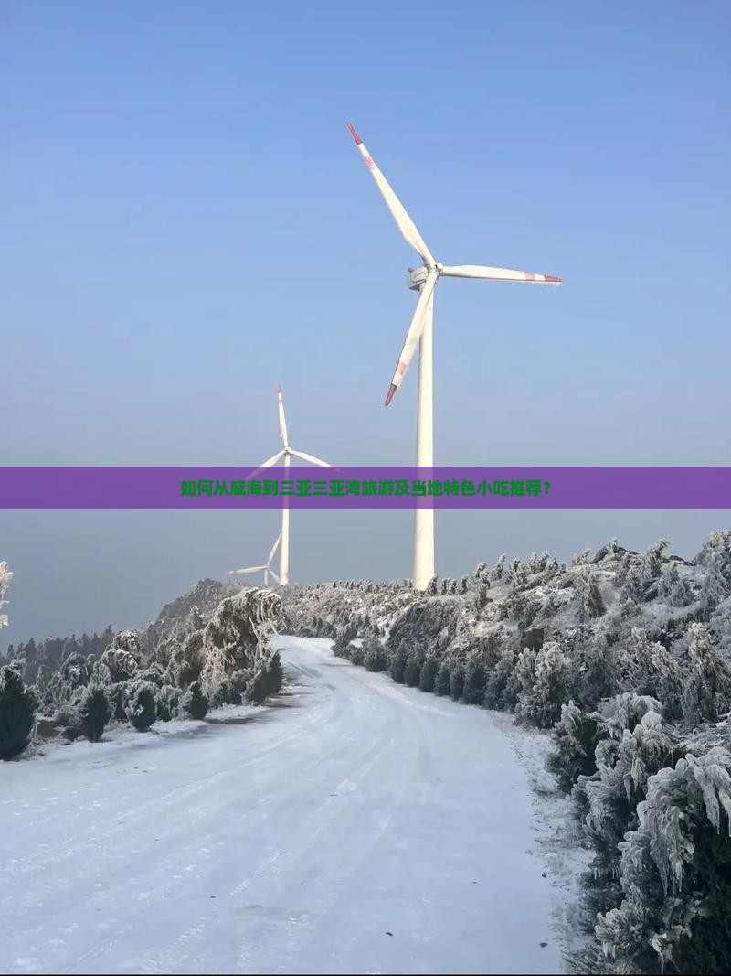 如何从威海到三亚三亚湾旅游及当地特色小吃推荐？