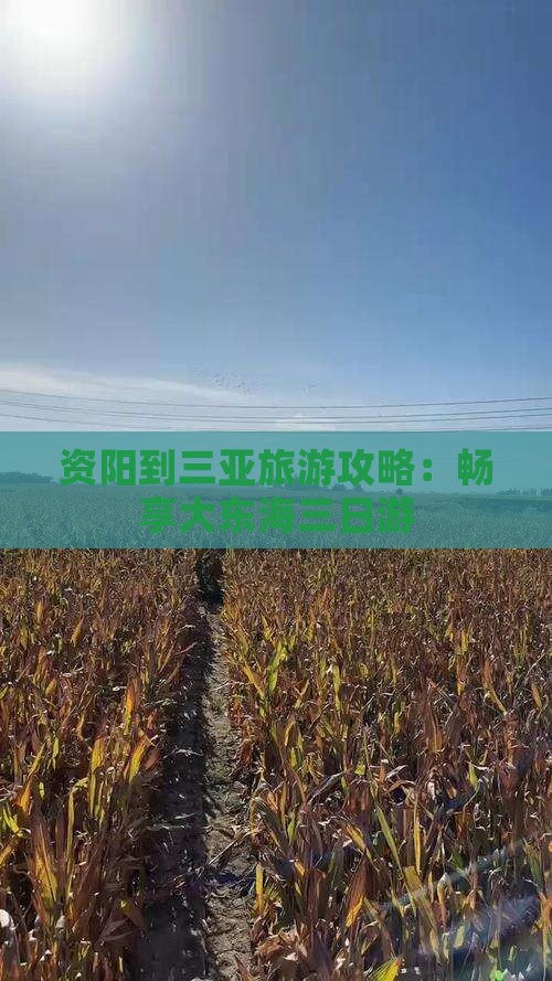 资阳到三亚旅游攻略：畅享大东海三日游