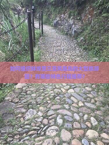 如何组织蚌埠至三亚凤凰岛的大型旅游团？有哪些特色行程推荐？
