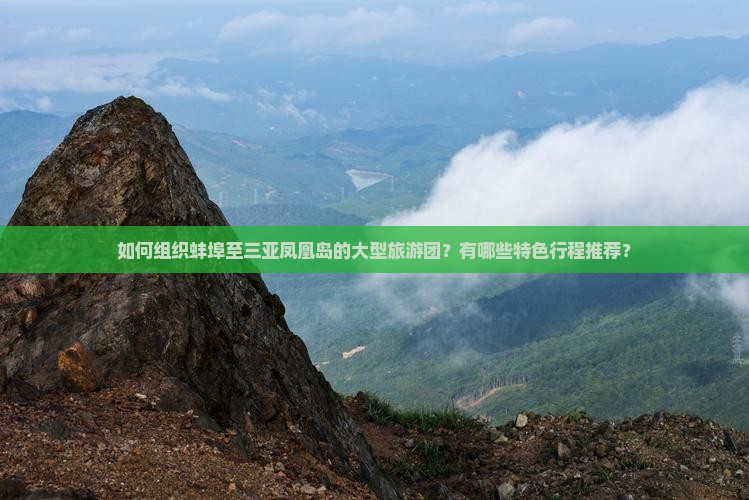 如何组织蚌埠至三亚凤凰岛的大型旅游团？有哪些特色行程推荐？