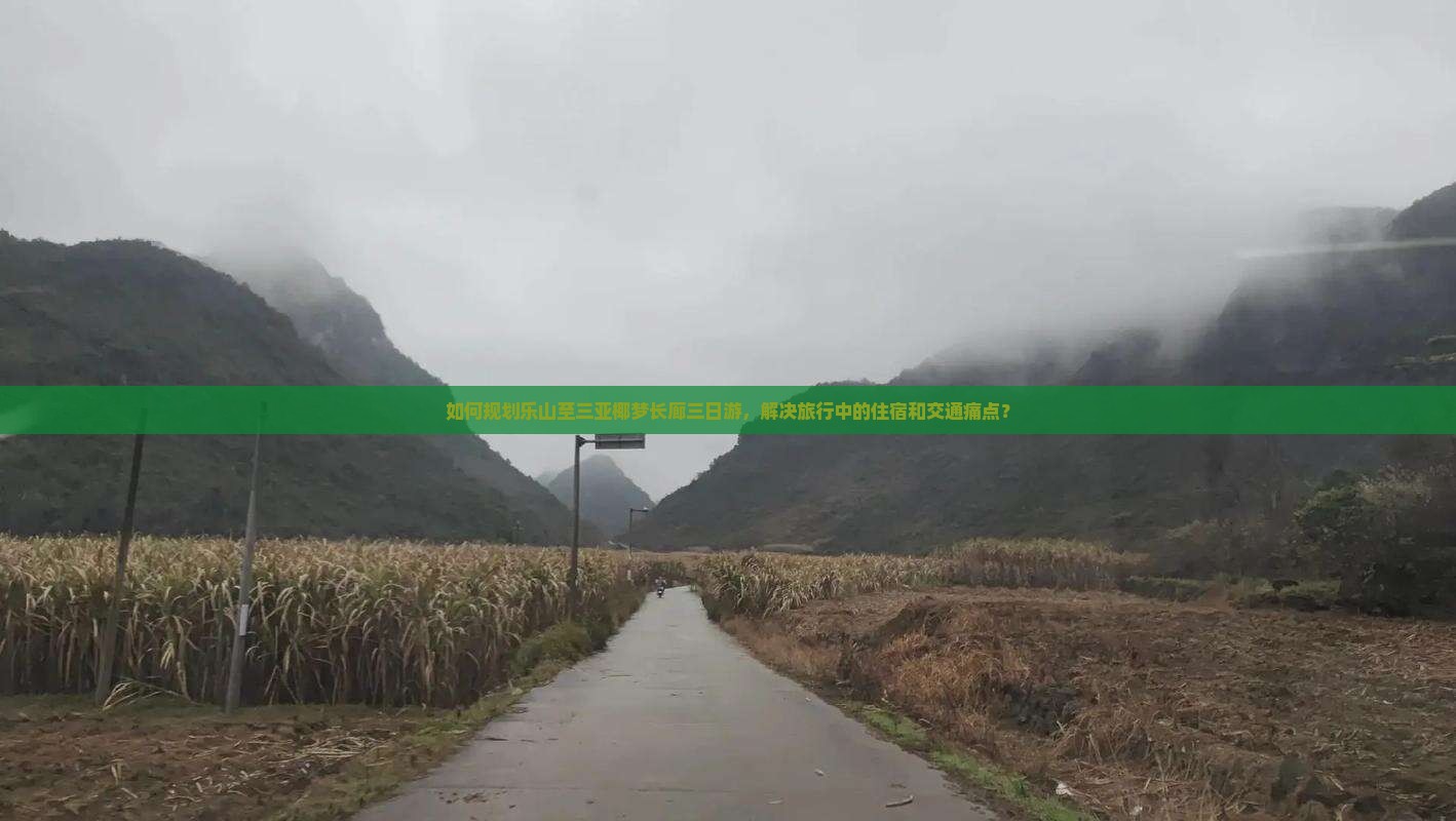 如何规划乐山至三亚椰梦长廊三日游，解决旅行中的住宿和交通痛点？