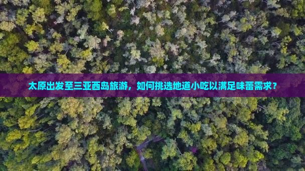 太原出发至三亚西岛旅游，如何挑选地道小吃以满足味蕾需求？