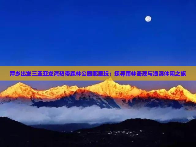 萍乡出发三亚亚龙湾热带森林公园哪里玩：探寻雨林奇观与海滨休闲之旅