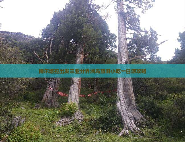 博尔塔拉出发三亚分界洲岛旅游小吃一日游攻略
