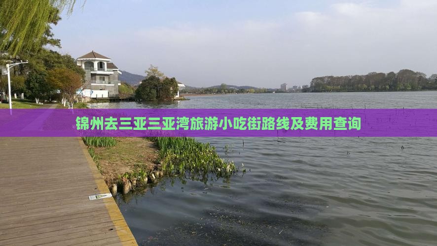 锦州去三亚三亚湾旅游小吃街路线及费用查询