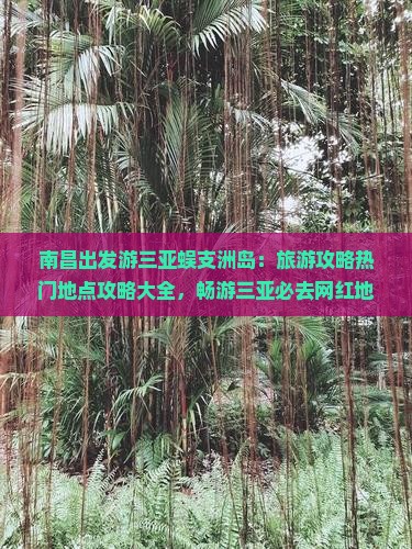 南昌出发游三亚蜈支洲岛：旅游攻略热门地点攻略大全，畅游三亚必去网红地点指南