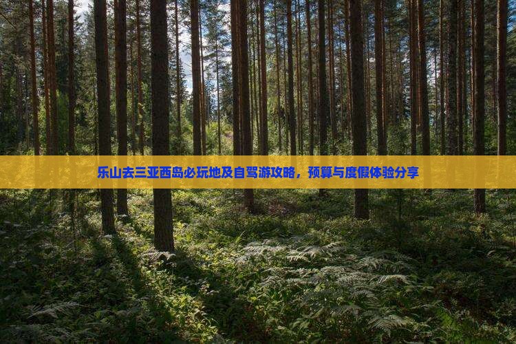 乐山去三亚西岛必玩地及自驾游攻略，预算与度假体验分享