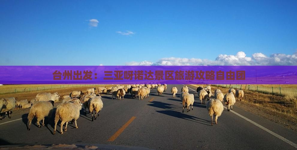 台州出发：三亚呀诺达景区旅游攻略自由团