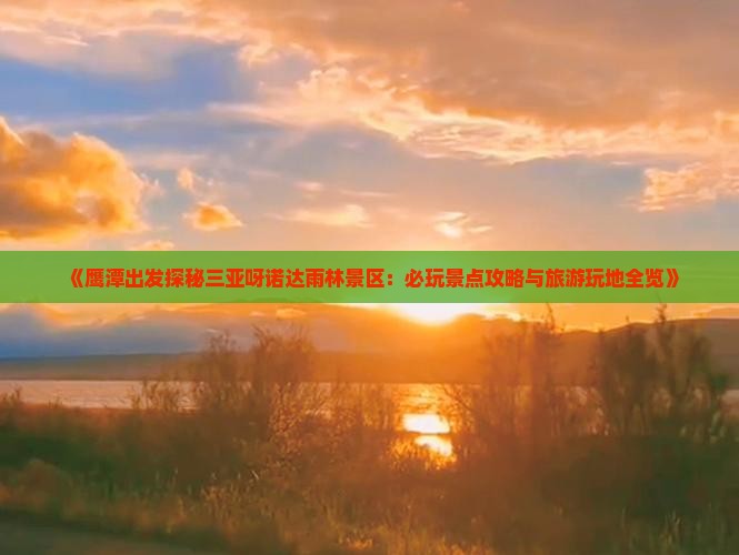 《鹰潭出发探秘三亚呀诺达雨林景区：必玩景点攻略与旅游玩地全览》