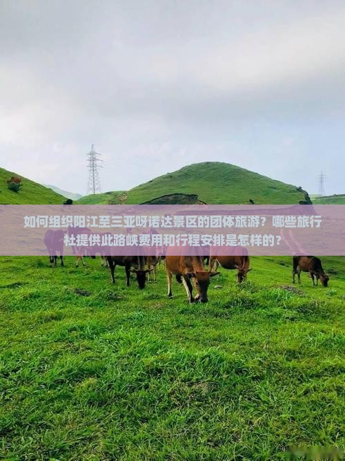 如何组织阳江至三亚呀诺达景区的团体旅游？哪些旅行社提供此路峡费用和行程安排是怎样的？