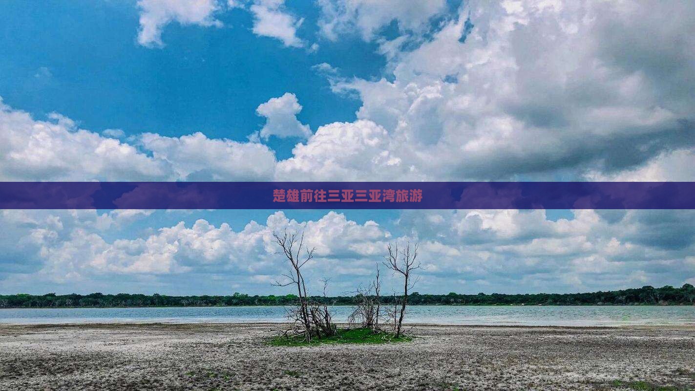 楚雄前往三亚三亚湾旅游