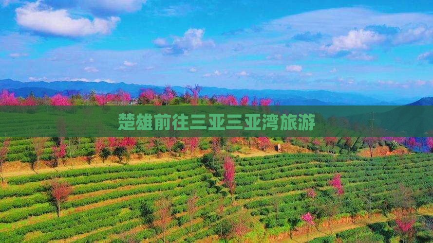 楚雄前往三亚三亚湾旅游