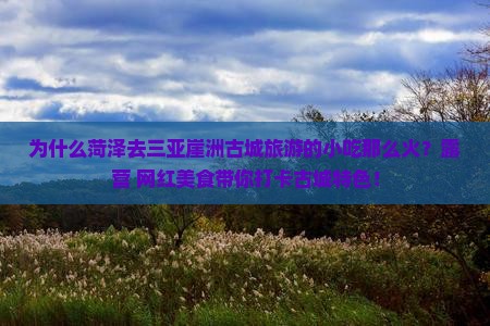为什么菏泽去三亚崖洲古城旅游的小吃那么火？露营+网红美食带你打卡古城特色！