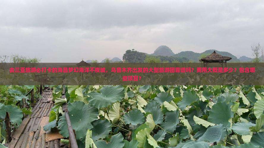 去三亚旅游必打卡的海昌梦幻海洋不夜城，乌鲁木齐出发的大型旅游团靠谱吗？费用大概是多少？包含哪些项目？