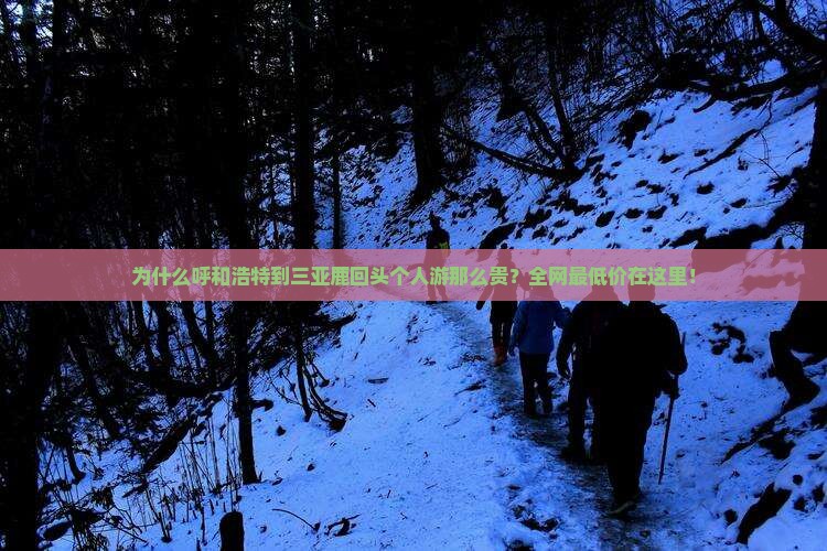 为什么呼和浩特到三亚鹿回头个人游那么贵？全网最低价在这里！