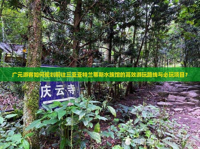 广元游客如何规划前往三亚亚特兰蒂斯水族馆的高效游玩路线与必玩项目？