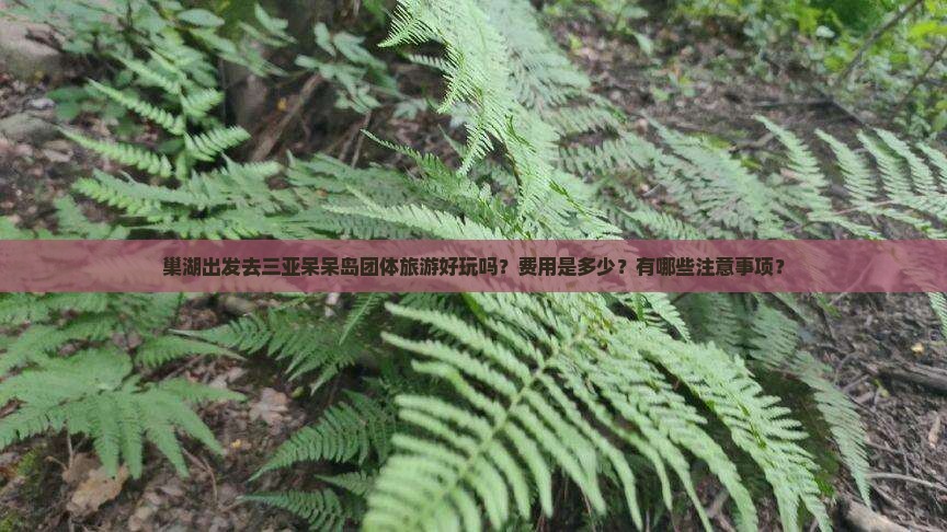 巢湖出发去三亚呆呆岛团体旅游好玩吗？费用是多少？有哪些注意事项？