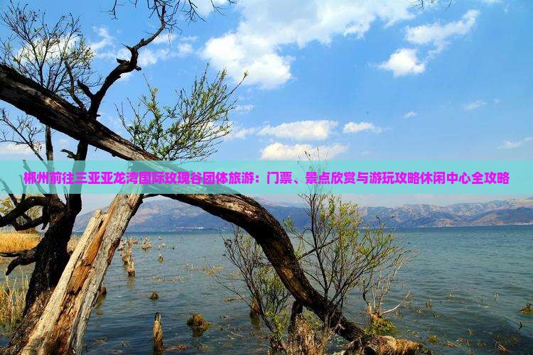 郴州前往三亚亚龙湾国际玫瑰谷团体旅游：门票、景点欣赏与游玩攻略休闲中心全攻略