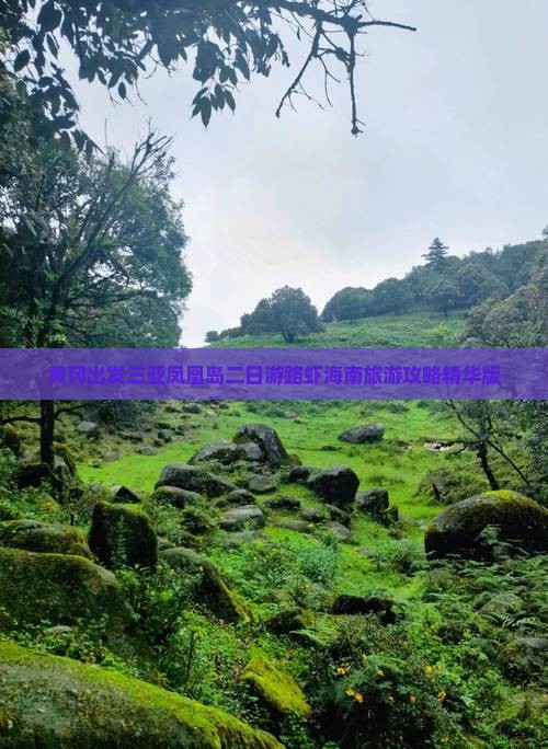 黄冈出发三亚凤凰岛二日游路虾海南旅游攻略精华版