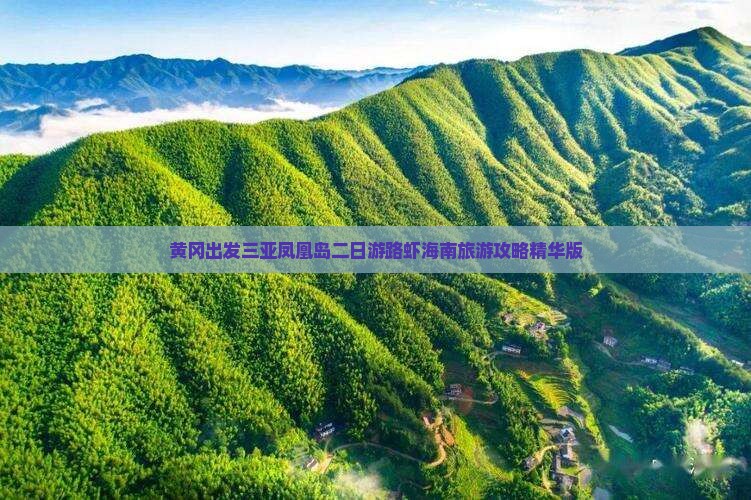 黄冈出发三亚凤凰岛二日游路虾海南旅游攻略精华版