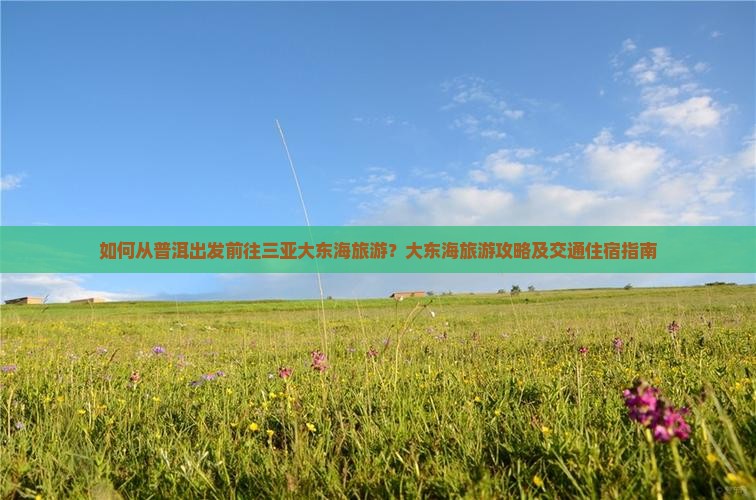 如何从普洱出发前往三亚大东海旅游？大东海旅游攻略及交通住宿指南