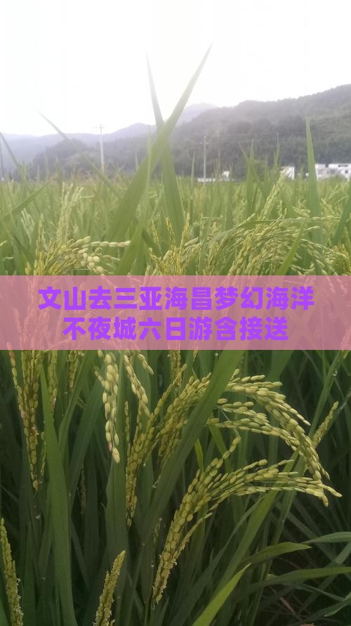 文山去三亚海昌梦幻海洋不夜城六日游含接送