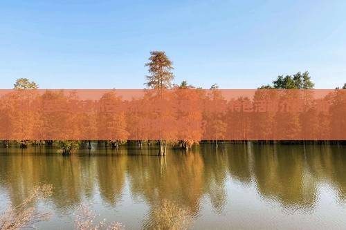 郑州至三亚崖州古城旅游团行程安排及特色活动介绍，如何报名参加？
