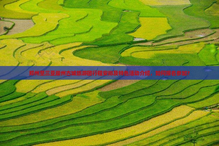 郑州至三亚崖州古城旅游团行程安排及特色活动介绍，如何报名参加？