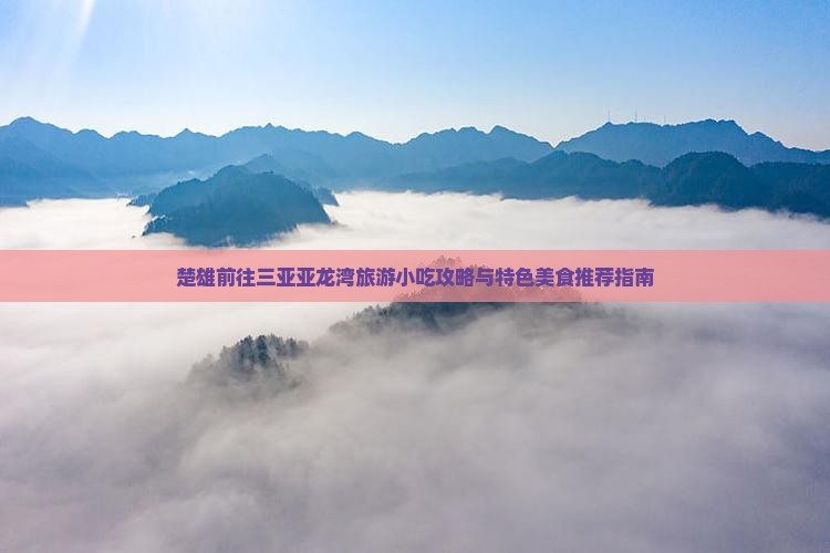 楚雄前往三亚亚龙湾旅游小吃攻略与特色美食推荐指南