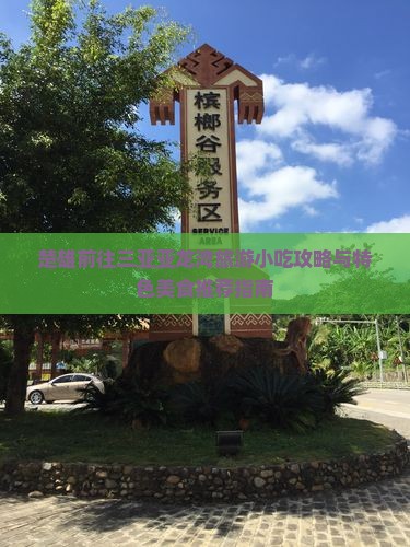 楚雄前往三亚亚龙湾旅游小吃攻略与特色美食推荐指南