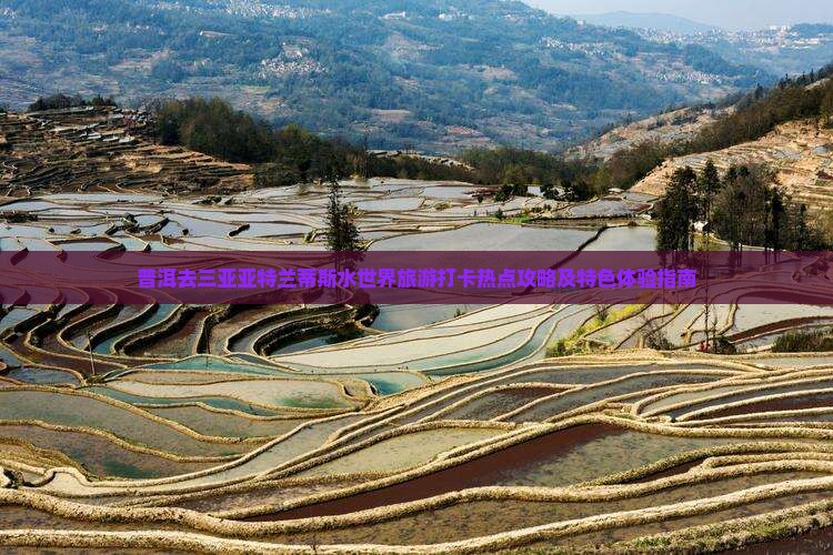 普洱去三亚亚特兰蒂斯水世界旅游打卡热点攻略及特色体验指南