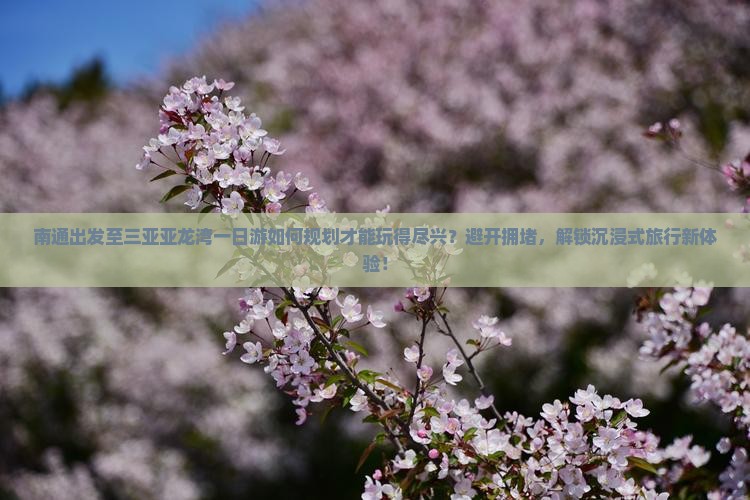 南通出发至三亚亚龙湾一日游如何规划才能玩得尽兴？避开拥堵，解锁沉浸式旅行新体验！
