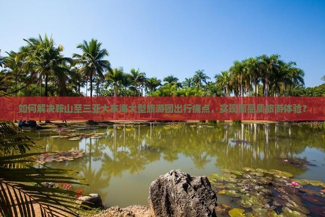 如何解决鞍山至三亚大东海大型旅游团出行痛点，实现高品质旅游体验？