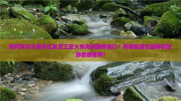 如何策划从重庆出发至三亚大东海的团体旅行？有哪些适合团体的旅游套餐推荐？
