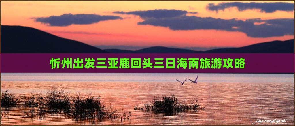 忻州出发三亚鹿回头三日海南旅游攻略