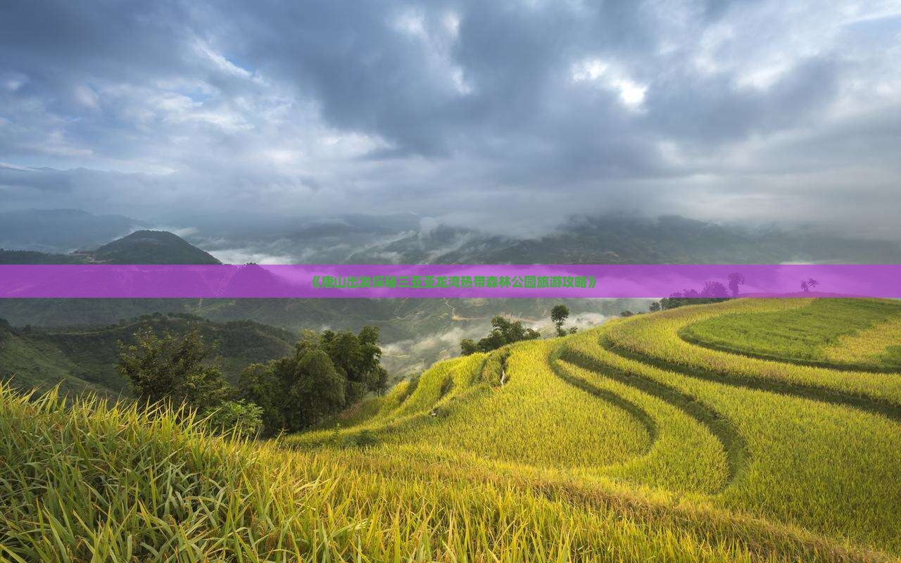 《唐山出发探秘三亚亚龙湾热带森林公园旅游攻略》