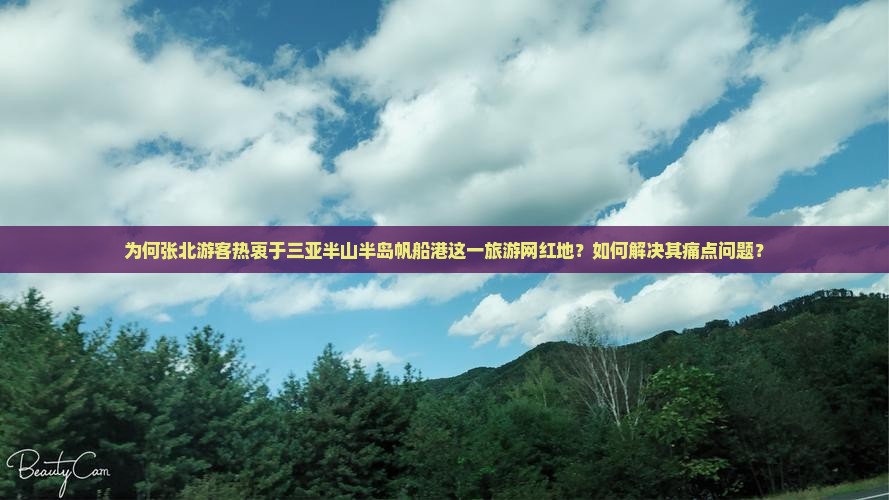为何张北游客热衷于三亚半山半岛帆船港这一旅游网红地？如何解决其痛点问题？