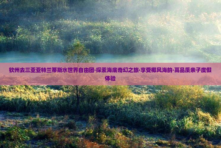 钦州去三亚亚特兰蒂斯水世界自由团·探索海底奇幻之旅·享受椰风海韵·高品质亲子度假体验