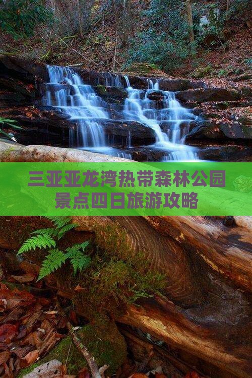 三亚亚龙湾热带森林公园景点四日旅游攻略
