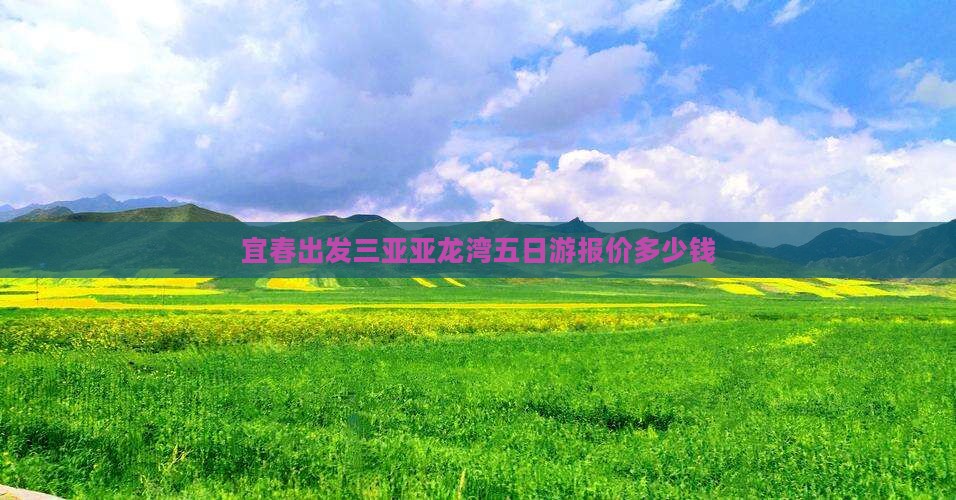宜春出发三亚亚龙湾五日游报价多少钱