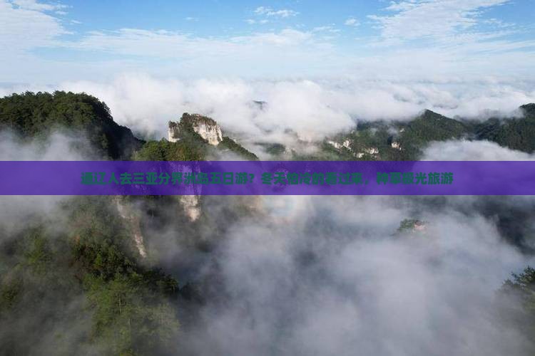 通辽人去三亚分界洲岛五日游？冬天怕冷的看过来，种草极光旅游