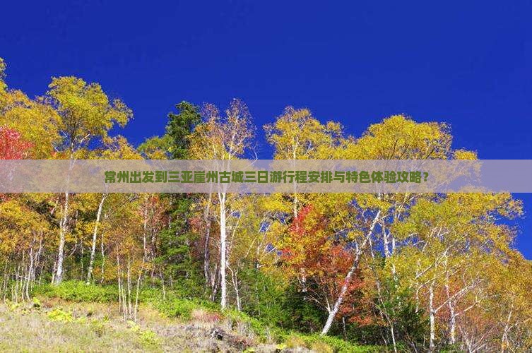 常州出发到三亚崖州古城三日游行程安排与特色体验攻略？