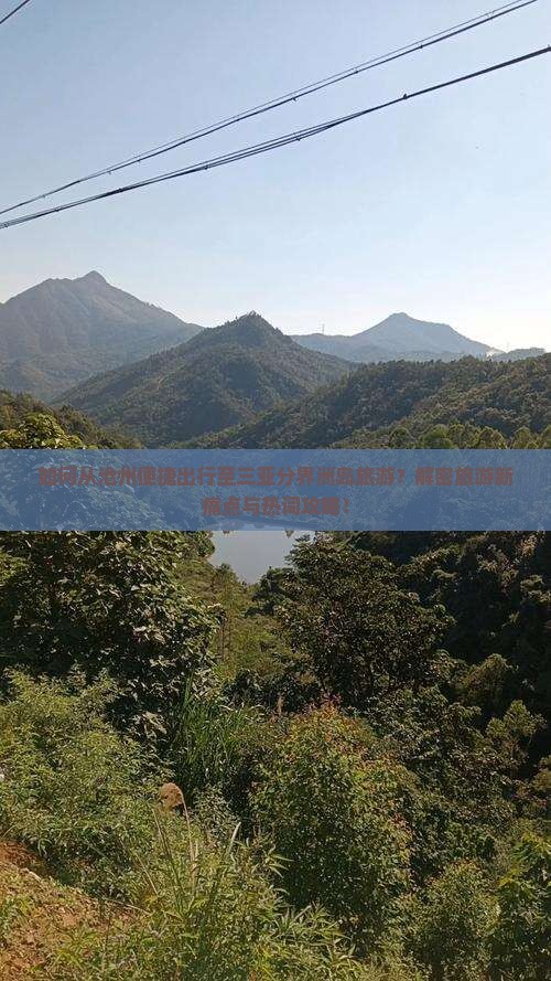 如何从沧州便捷出行至三亚分界洲岛旅游？解密旅游新痛点与热词攻略！