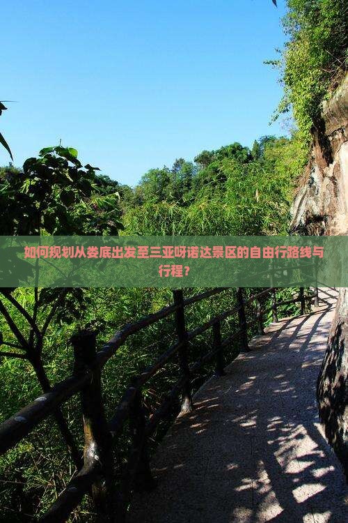 如何规划从娄底出发至三亚呀诺达景区的自由行路线与行程？