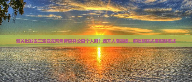 韶关出发去三亚亚龙湾热带森林公园个人游？避开人潮高峰，解锁旅居式度假新模式