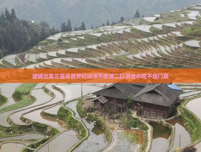 诸城出发三亚海昌梦幻海洋不夜城二日游含小吃不含门票