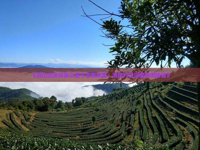 《鞍山出发探秘三亚千古情攻略：海南六日深度旅游体验》