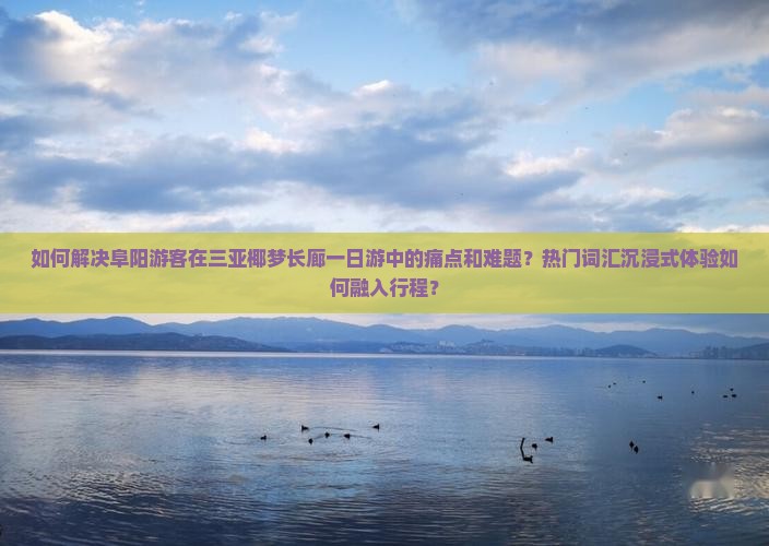 如何解决阜阳游客在三亚椰梦长廊一日游中的痛点和难题？热门词汇沉浸式体验如何融入行程？