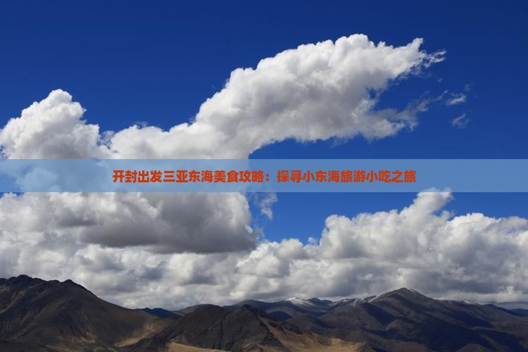 开封出发三亚东海美食攻略：探寻小东海旅游小吃之旅