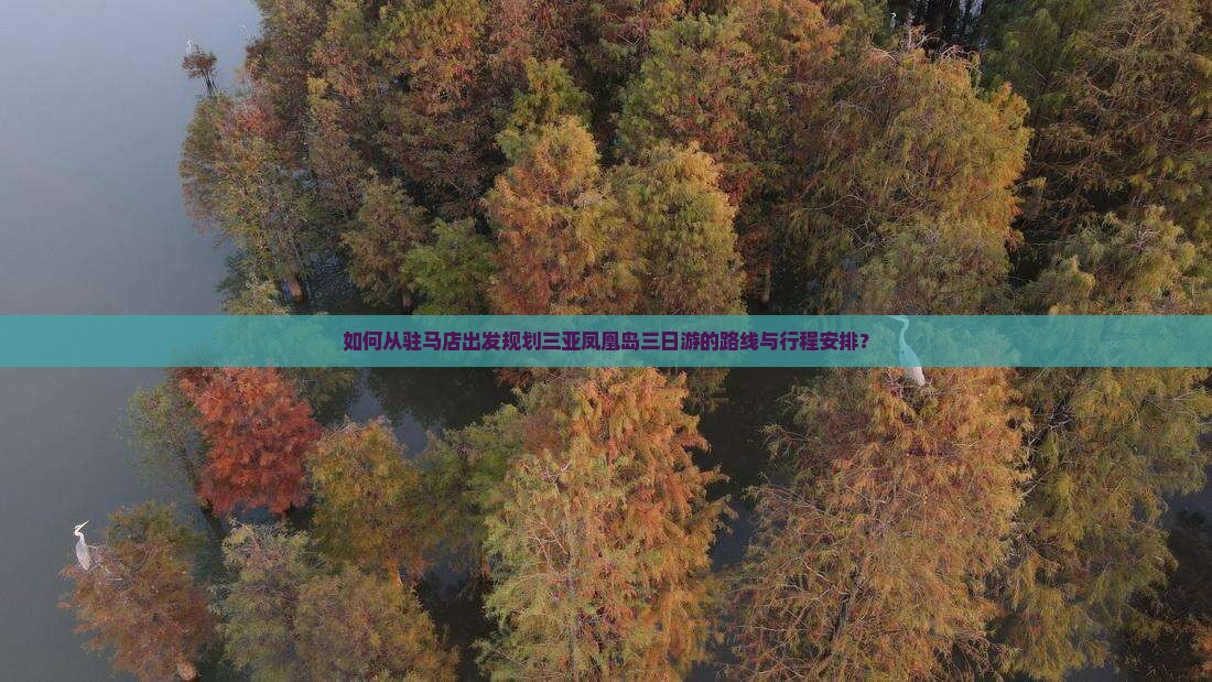 如何从驻马店出发规划三亚凤凰岛三日游的路线与行程安排？